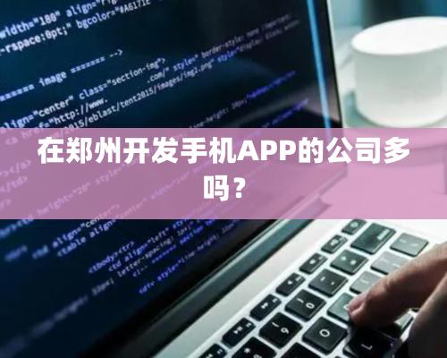 在鄭州開發手機APP的公司多嗎？