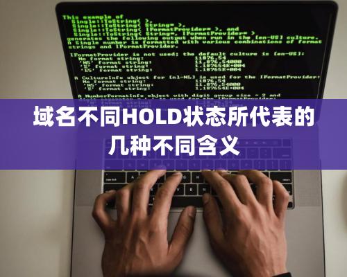 域名不同HOLD狀態(tài)所代表的幾種不同含義